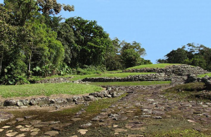 A Land with Greenery