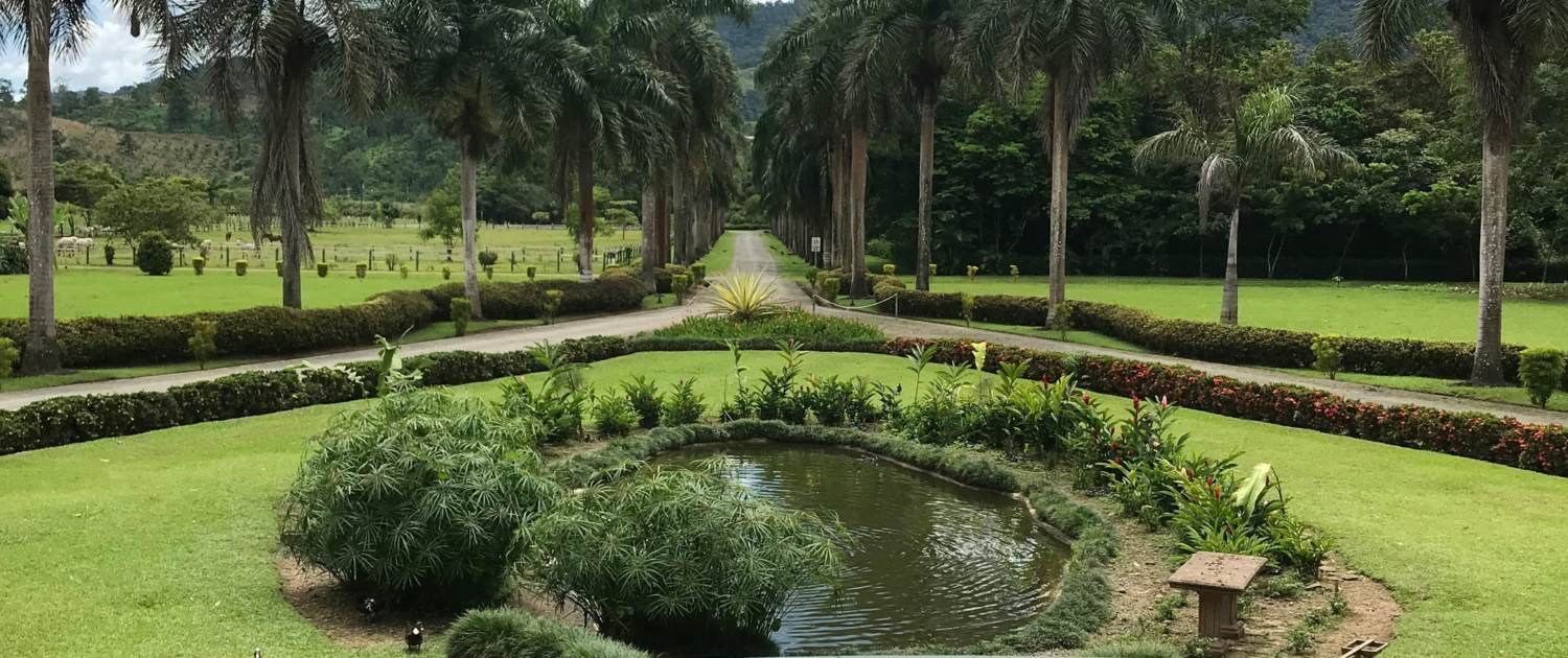 A Garden with a Small Pond